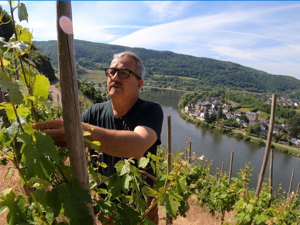 Weingut Und Pension Markus Kochems Panzió Mesenich Kültér fotó